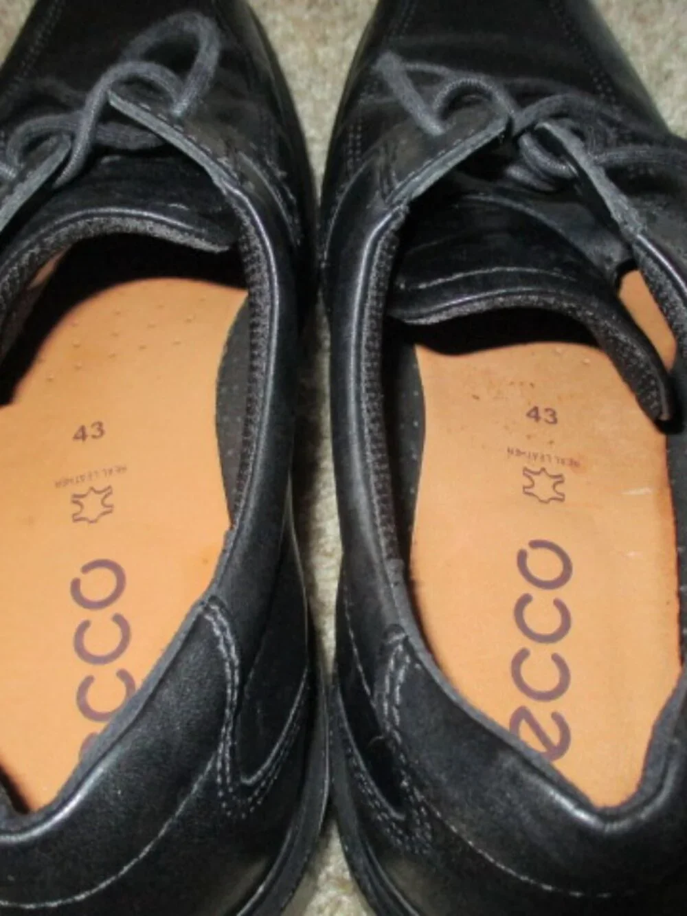 Ecco these are